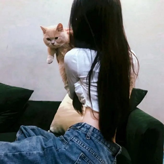 一纸婚书定良缘